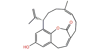 Floresolide B